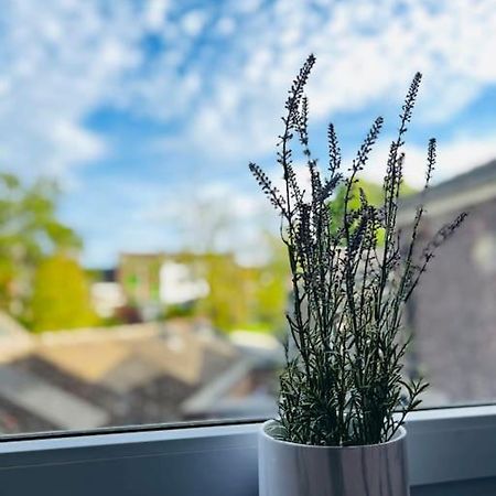 Charmant Petit Appartement. Льєж Екстер'єр фото