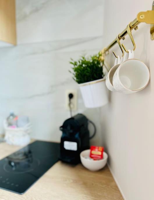 Charmant Petit Appartement. Льєж Екстер'єр фото