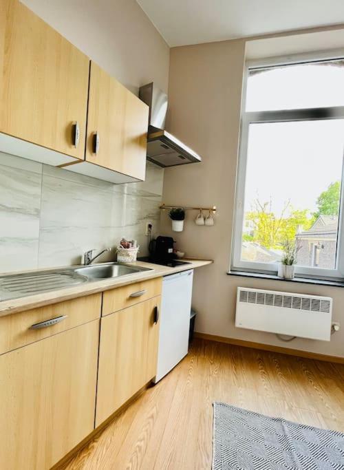 Charmant Petit Appartement. Льєж Екстер'єр фото