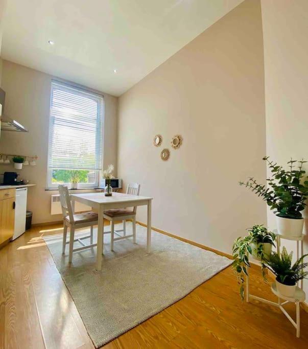 Charmant Petit Appartement. Льєж Екстер'єр фото