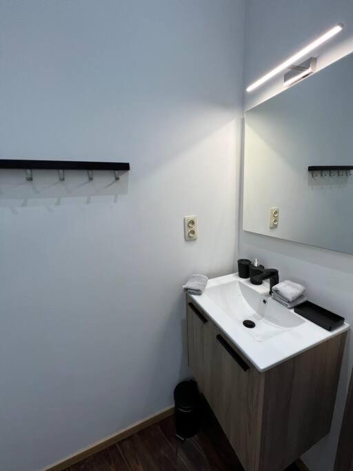 Charmant Petit Appartement. Льєж Екстер'єр фото