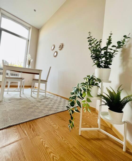 Charmant Petit Appartement. Льєж Екстер'єр фото