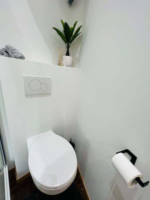 Charmant Petit Appartement. Льєж Екстер'єр фото